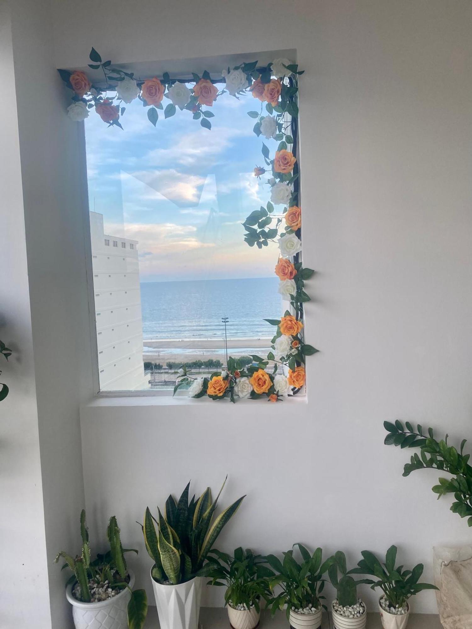 Homestay Anhtran 头顿 外观 照片